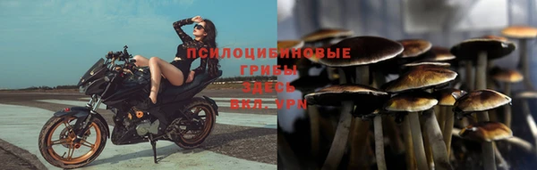 ПСИЛОЦИБИНОВЫЕ ГРИБЫ Волоколамск