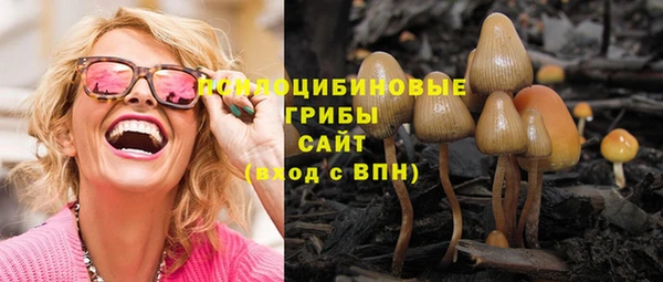 СК Володарск