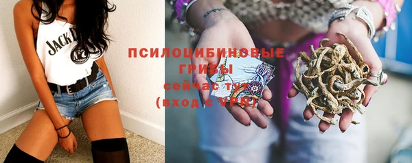 ПСИЛОЦИБИНОВЫЕ ГРИБЫ Волоколамск